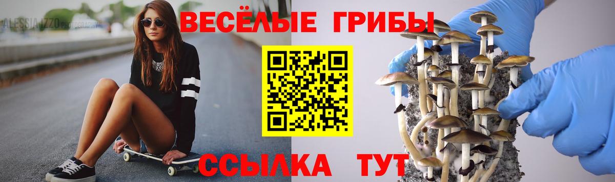 Псилоцибиновые грибы Psilocybe  Вход с VPN  Псилоцибиновые грибы прущие грибы  Новодвинск 